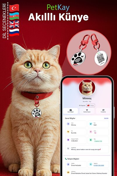 petkay Kediler Için Akıllı Künye, Nfc Dijital Isimlik Ve Tasma Künyesi Qr Kod...
