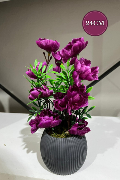 La bella bazar 24cm-μίνι τεχνητό λουλούδι διακοσμητικό σε γλάστρα Διακόσμηση λουλουδιών τραπεζιού Μικρού μεγέθους Φυσική πέτρα σε γλάστρα με φύκια