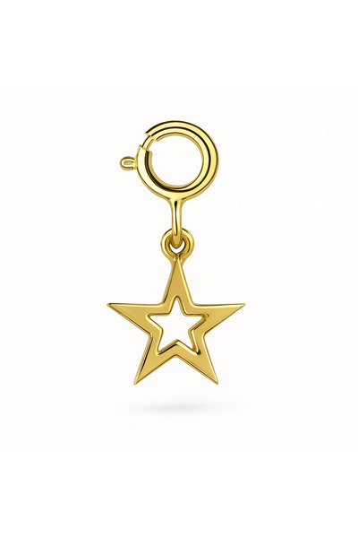 Ariş Yıldız Charm Altın Kolye Ucu