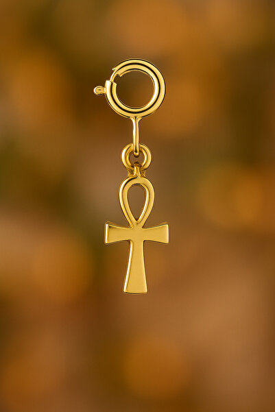 Ariş Sonsuz Yaşam Sembolü Charm Altın Kolye Ucu