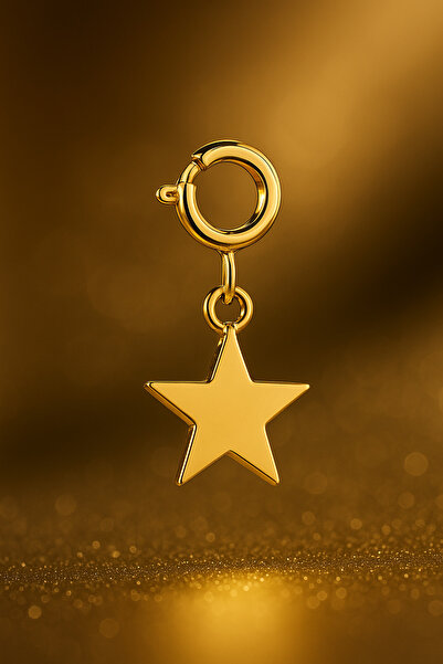 Ariş Yıldız Charm Altın Kolye Ucu