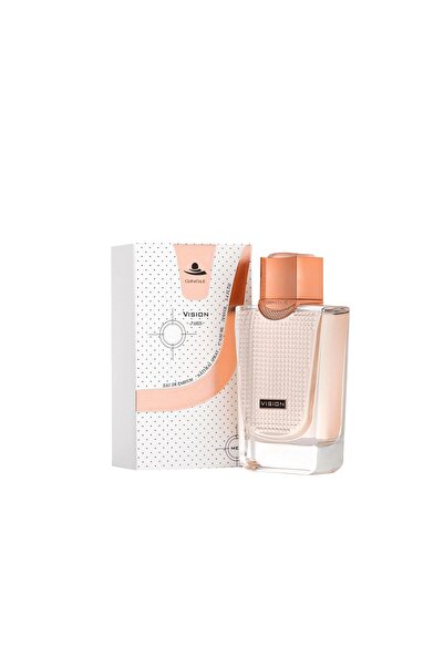 GINGLE عطر فيجن للرجال 100 مل