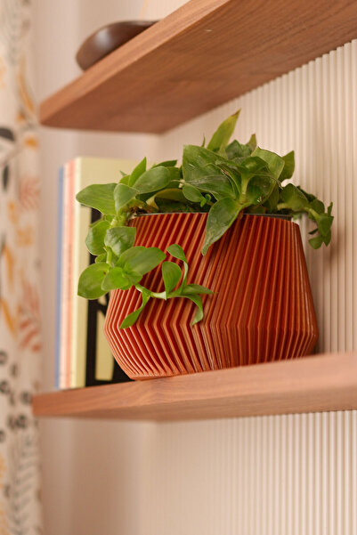 Alwen Maya Serisi Tasarım Saksı | Orkide Saksısı | Dekoratif Hediyelik Eşya 1...