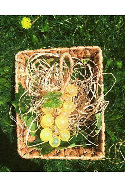 ALALUNARTS صابون العنب المصنوع يدويًا - رازاكي