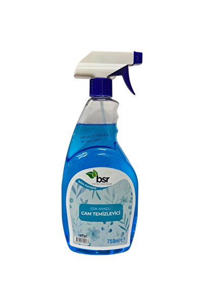 Efor Cam Temizleme Spreyi 750 ml | Profesyonel İz Bırakmayan Formül & Parlak Temizlik