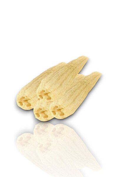 Adres-i Şifa ليفة اليقطين 55-70 سم 1 قطعة