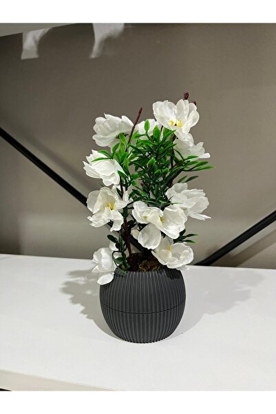 La bella bazar 24 سم-وعاء زهور صناعي صغير للديكور على شكل زهرة طاولة ديكور صغير الحجم في وعاء من الطحالب الحجرية الطبيعية