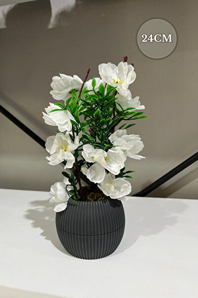 La bella bazar 24 سم-وعاء زهور صناعي صغير للديكور على شكل زهرة طاولة ديكور صغير الحجم في وعاء من الطحالب الحجرية الطبيعية