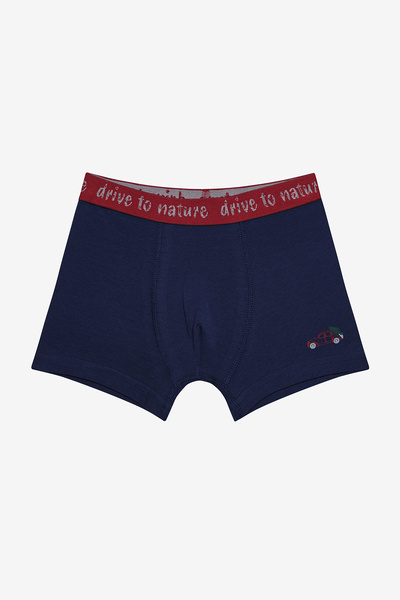 Penti Boxer multicolor din 2 piese pentru băiat Drive To Nature