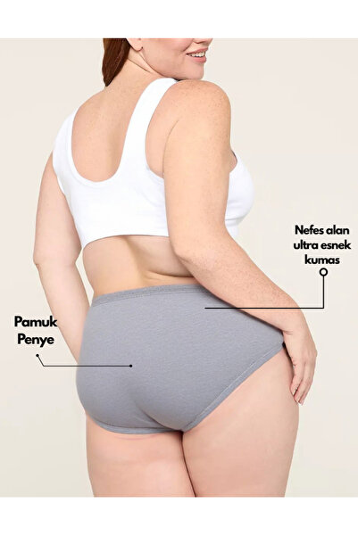 IPL Women's Panties, Women's High Waist Bato Cotton 7-Piece Ashy Tones Panties Set