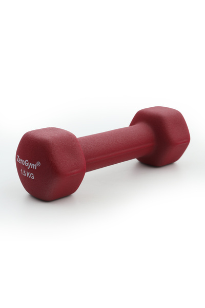 ZEROGYM Neopren Kaplı İçi Demir Dambıl dumble 1,5 KG