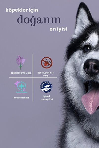 Gallipoli Lavender Dr. Lavender Lavanta Yağlı Köpek Şampuanı 400 ml Antiseptik Pet Şampuan