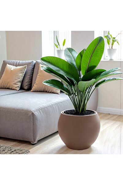 KıtayGroup Küre Saksı Yuvarlak Saksı Modern Dekoratif Iç Hazneli Plastik 27 L...