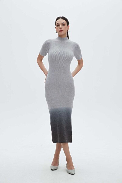 Nichii Color-Block High Neck Midi Dress with Half Sleeves