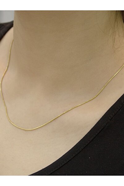 Zeynepli gold & jewelry 14 Ayar Altın Tondo Balık Sırtı Zincir Kolye