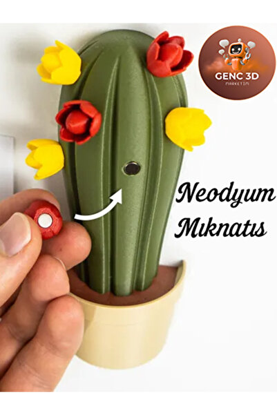 Genç 3D Kaktüs Dolap Mıknatısı | Renkli Çiçekli Tasarım | Çekmeceli Saklama A...