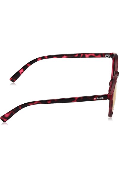 erorex Unisex Pld8024/S Sunglasses