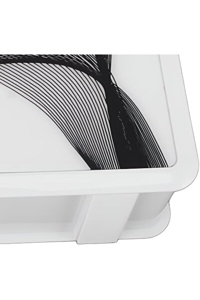 Taimi White Aromatherapy Diffuser - Enhance Your Home and Interior Spaces