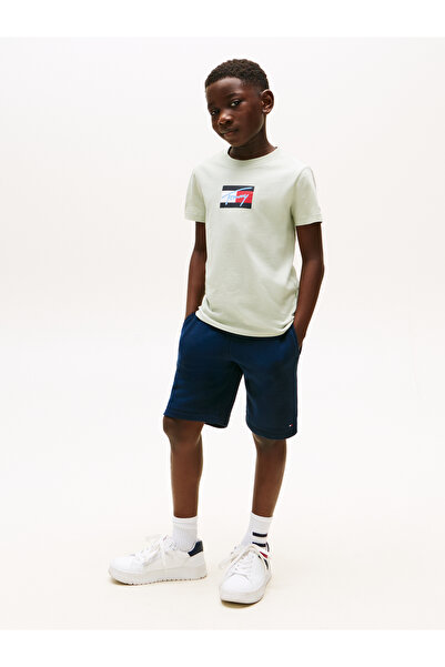 Tommy Hilfiger تي شيرت رجالي بأكمام قصيرة مطبوع عليه علم تومي سكريبت من ميستي سايج