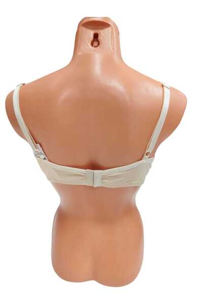 wear treasure D Cup (for Large Breasts) 3-Cup Supporting Bra with Underwire and Sponge