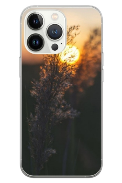 Atlas Husa personalizata tip carcasa Apple iPhone 14 Pro, Nice View 2, , S1D1...