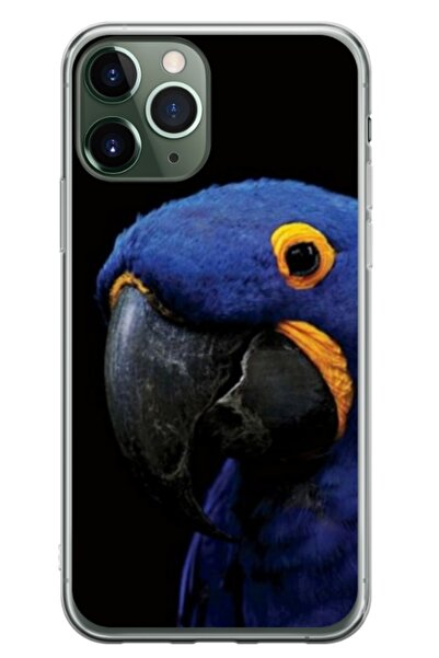 Atlas Husa personalizata tip carcasa Apple iPhone 12 Pro Max, Blue Parrot, , ...