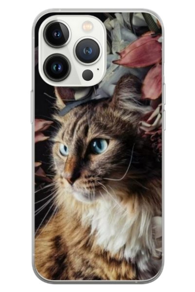Atlas Husa personalizata tip carcasa Apple iPhone 13 Pro Max, Cat 1, , S1D1M0143