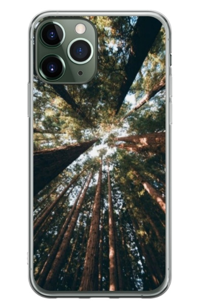 Atlas Husa personalizata tip carcasa Apple iPhone 11 Pro, Tree perspective, ,...