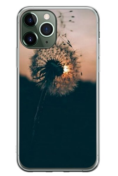 Atlas Husa personalizata tip carcasa Apple iPhone 11 Pro Max, Nice View 7, , ...