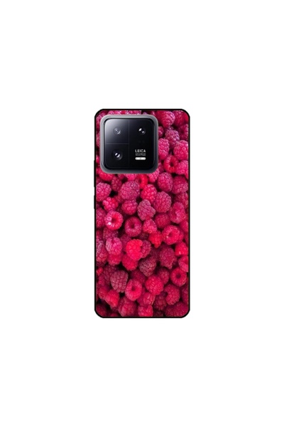 Atlas Персонализиран калъф тип Xiaomi 13 Pro, Raspberry, , S1D1M0234