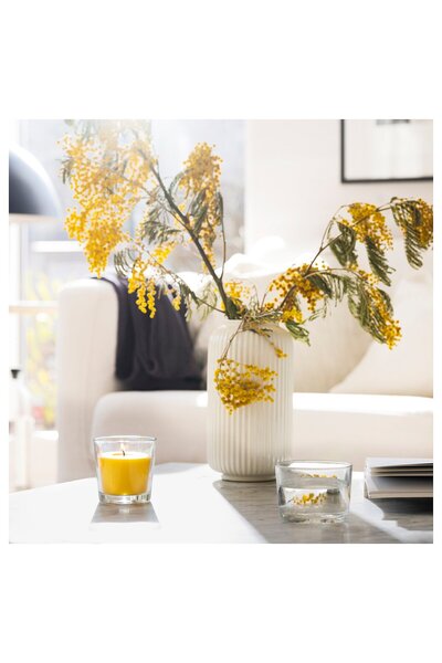 IKEA SVARTOXBÄR Scented candle in glass, Mimosa/yellow, 25 hr