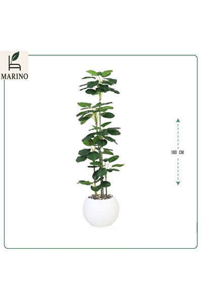 Generica Description of a green tree with 6 branches and a plastic pot - 180 cm