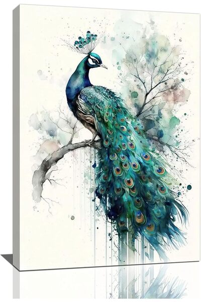 Today Idea لوحة فنية جدارية بألوان مائية على شكل طاووس - قماش مؤطر بمقاس ١٢×١...