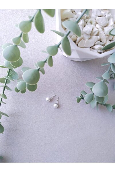 Evalia Takı İnci Küpe Su İncisi Top Küpe 6 Mm