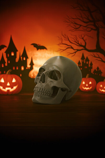 zebu3Design Dekoratif Kuru Kafa Figürü - Gümüş Gri | Modern Masaüstü Obje | E...