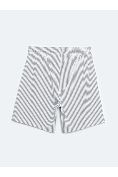 LC Waikiki Standard Fit Striped Men's Shorts