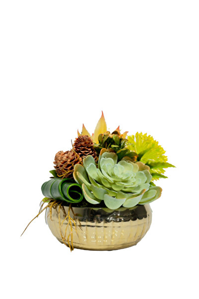 Lara Decor Gold Saksılı Mini Sukulent Aranjman
