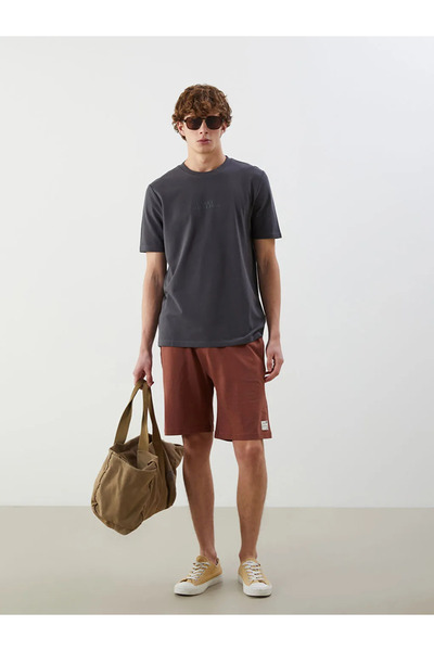 LC Waikiki Standard Fit Men's Shorts