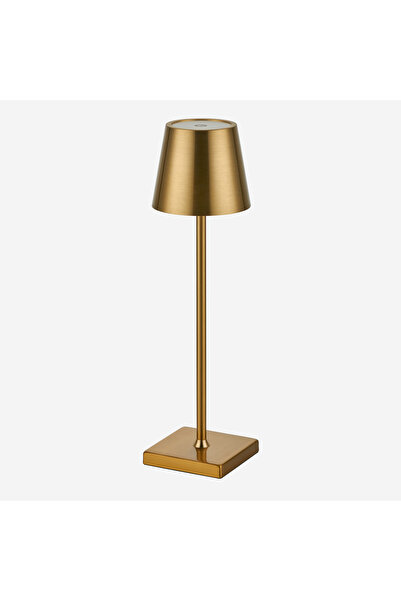 CHIARA ALESSI Ayaklı Altın Paslanmaz Çelik Şarjlı Masa Lambası 10X10x38 Cm