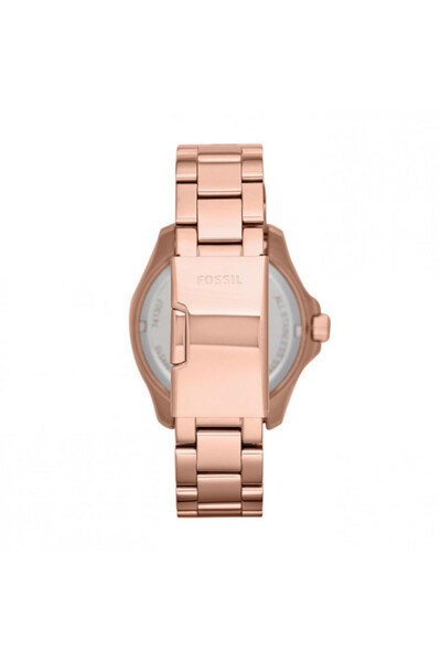 Fossil Ceas de dama Cecile Multifunction AM4511