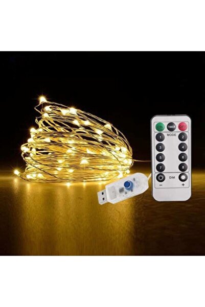 Flippy Christmas Light Installation, 5 meters, 50 LEDs, USB, Remote Control with 8 functions, warm white, F