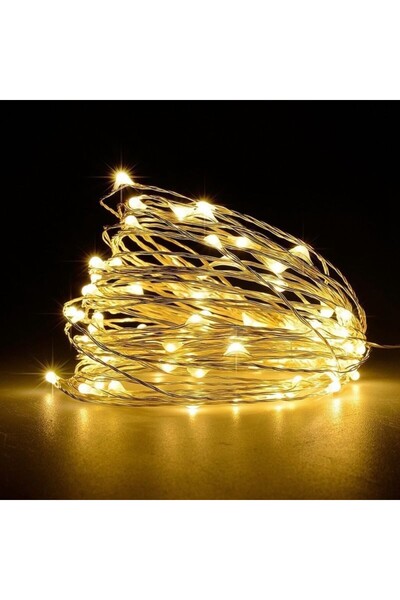Flippy Christmas string lights, 5 m, 50 LEDs, USB, 8-function remote, warm wh...