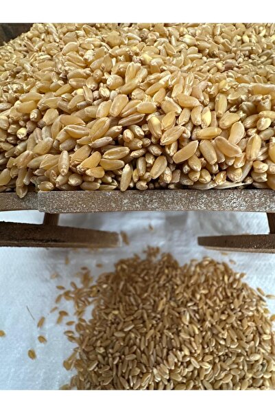 Doğal Ürünler DOĞA TARIM ÜRÜNLERİ Elenmiş Makarnalık Sert Buğday Güvercin,Tavuk, Ördek, Kaz, Hindi Yemi 5 Kğ 415