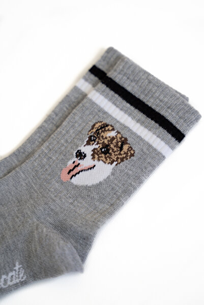 Trampoline Dog Patterned Long Socks - Patterned Socks - Gray Long Socks