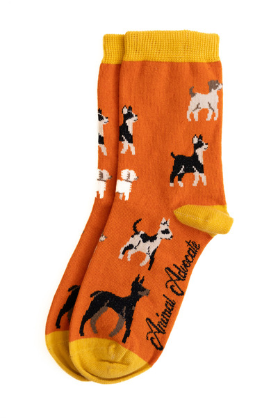 Trampoline Dog Patterned Long Socks - Patterned Socks - Orange Long Socks