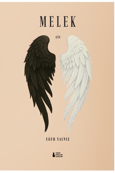 Sokak Kitapları Yayınları Melek - Uğur Yalnız