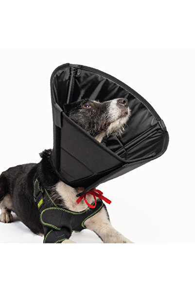 Petsuit Elizabeth Yakalık Köpek – Siyah ve Renkli, Rahat ve Ayarlanabilir Koruma Boyunluğu Köpek Yakalık