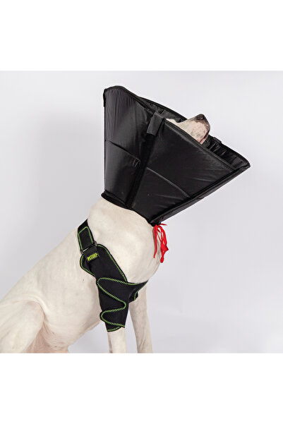 Petsuit Elizabeth Yakalık Köpek – Siyah ve Renkli, Rahat ve Ayarlanabilir Koruma Boyunluğu Köpek Yakalık