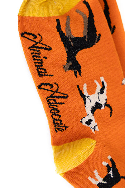 Trampoline Dog Patterned Long Socks - Patterned Socks - Orange Long Socks