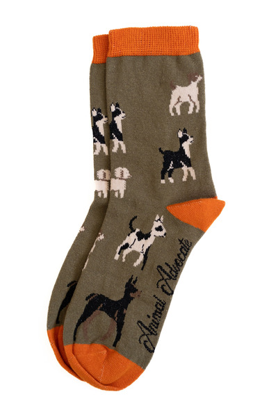 Trampoline Dog Patterned Long Socks - Patterned Socks - Khaki Green Long Socks